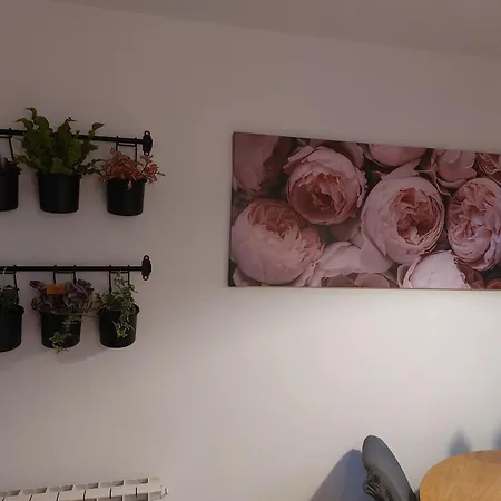 Vita Appartement