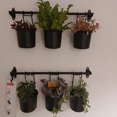Appartement Vita *