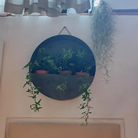 Appartement Vita